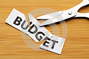 Budget cut