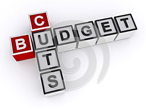 Budget cuts word block on white