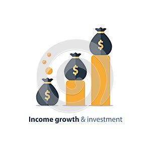 Budget fund planning, business growth, income graph, revenue chart, vector illustration