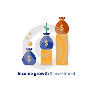 Budget fund planning, business growth, income graph, revenue chart, vector illustration