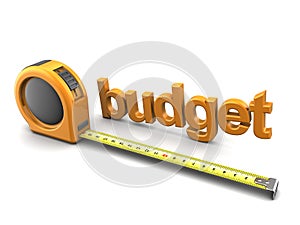 Budget metrics