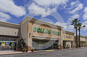 The budget store - Dollar Tree