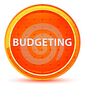 Budgeting Natural Orange Round Button