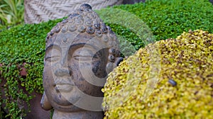 Budha surrounded by vegetation at a meditation place