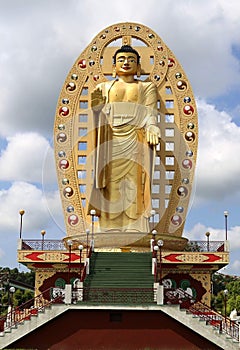 Budha temple in dehradun Uttarakhand