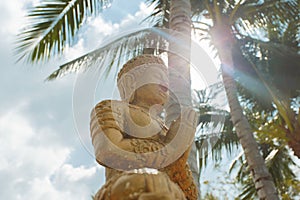 Budhda on the beach background with palm tree.