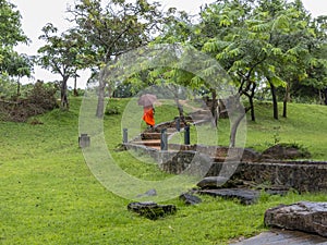 Budhist monk in a holly path