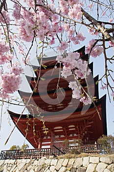 Budist Temple Gate Miyanjima Island Japan