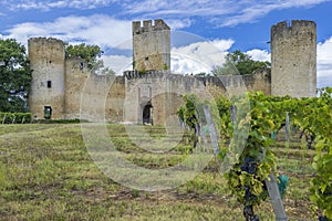 Budos castle (Chateau de Budos) in Sauternes wine region, Gironde departement, Aquitaine, France