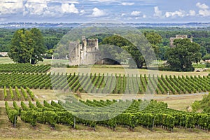 Budos castle (Chateau de Budos) in Sauternes wine region, Gironde departement, Aquitaine, France