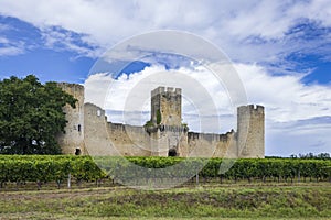 Budos castle (Chateau de Budos) in Sauternes wine region, Gironde departement, Aquitaine, France