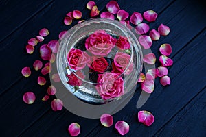 Buds of red roses in water in a glass vase and petals on a table