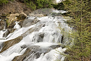 Buds beside waterfall