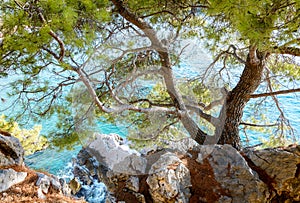 Budva. Path along the Adriatic coast