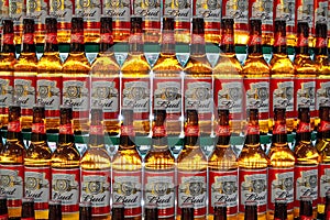 Budweiser bottles