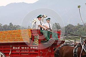 Budweiser Clydesdale Beer Wagon