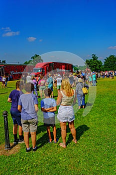 Budweiser Clydesdale Horses