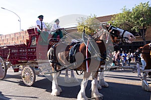 Budweiser Clydesdales and wagon