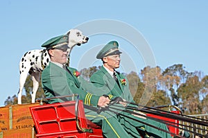 Rose Parade Budweiser Wagon Drivers