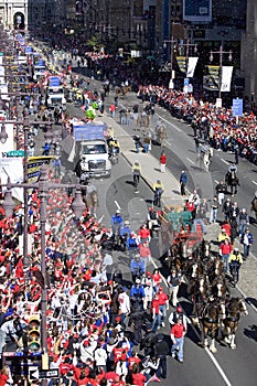 Budweiser horse drawn wagon a