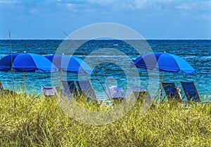 Bue Umbrellas Beach Bathers Blue Ocean Fort Lauderdale Florida