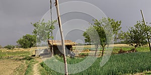 Bueaty full nature in claudy summer