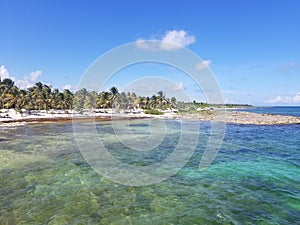 The bueaty of the Gulf of Mexico crystal clear water