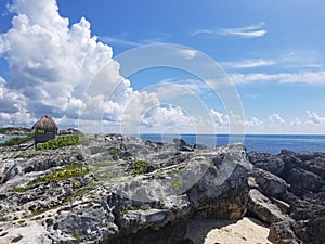 The bueaty of the Gulf of Mexico Rocks