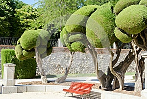 The Buen Retiro Park in Madrid Spain horizontal photo