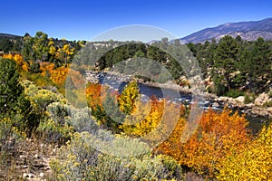 Buena Vista River photo