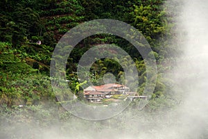 Foggy landscape in Buenavista, Quindio