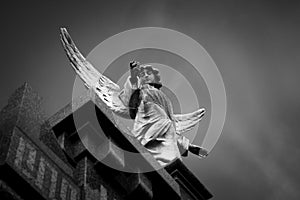Buenos Aires Angel photo