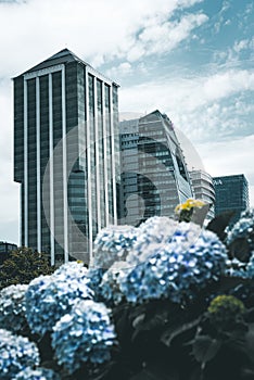 BUENOS AIRES, ARGENTINA - Dec 22, 2018: La ciudad sobre la naturaleza