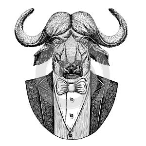 Buffalo, bison,ox, bull Hipster animal Hand drawn image for tattoo, emblem, badge, logo, patch, t-shirt