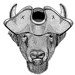 Buffalo, bison,ox, bull wearing pirate tricorn hat. Capitan costume.