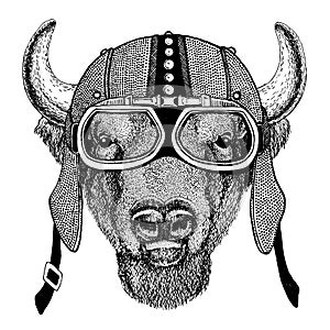 Buffalo, bison,ox, bull Wild animal wearing motorcycle, aero helmet. Biker illustration for t-shirt, posters, prints.