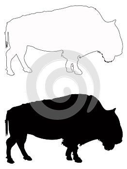 Buffalo or bison silhouette - large wildlife animal