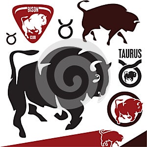 Buffalo. Bison. Taurus.