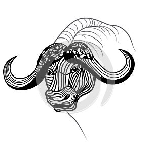 Buffalo bull head vector animal illustration for t-shirt.