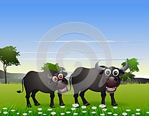 Buffalo cartoon with nature background