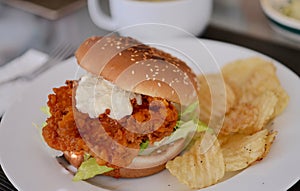 Buffalo Chicken Sandwich 1