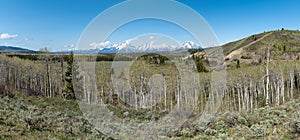 Buffalo Fork ridge overlooks the river and the Teton mountain range in the distance