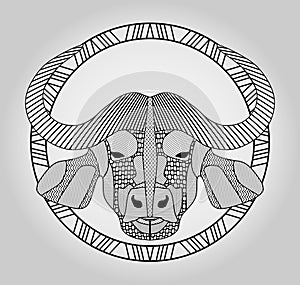 Buffalo head, symmetric hatched drawing in circle, picture. Bufallo head totem.