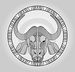 Buffalo head, symmetric hatched drawing in circle, picture, embroidery or tattoo template