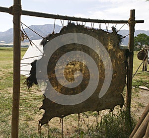 Buffalo Hide photo