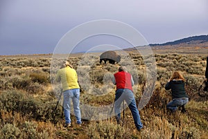 Buffalo hunters