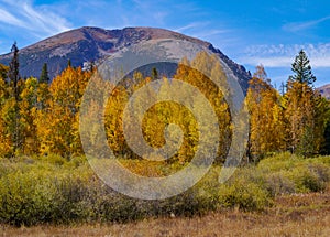 Buffalo Mountain Fall Colors