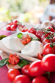 Buffalo mozzarella basil and tomatoes