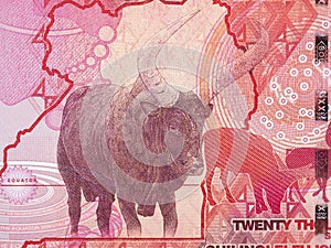 Buffalo a portrait from Ugandan money