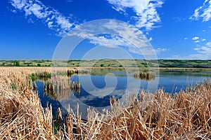 Buffalo Pound Provincial Park Peaceful Nicolle Marsh in Qu`appelle River Valley, Great Plains, Saskatchewan, Canada